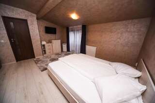 Гостевой дом Nelana Guest House Клуж-Напока Номер Делюкс с диваном-11