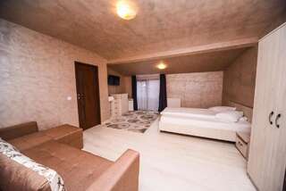 Гостевой дом Nelana Guest House Клуж-Напока Номер Делюкс с диваном-12
