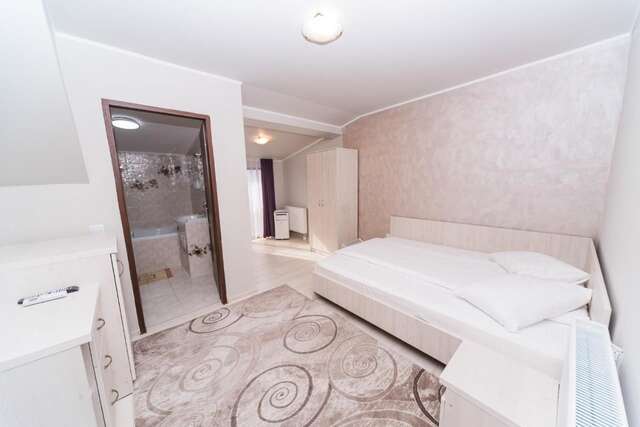 Гостевой дом Nelana Guest House Клуж-Напока-18